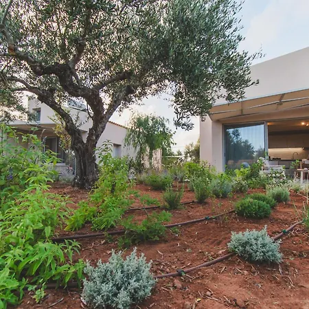 Helichrysum Lofts *